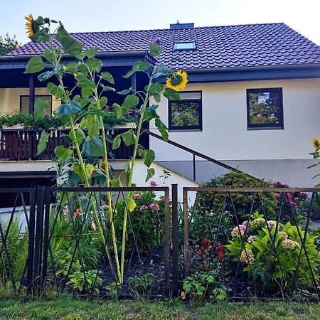 Waldhus Villa Ückeritz Buitenkant foto