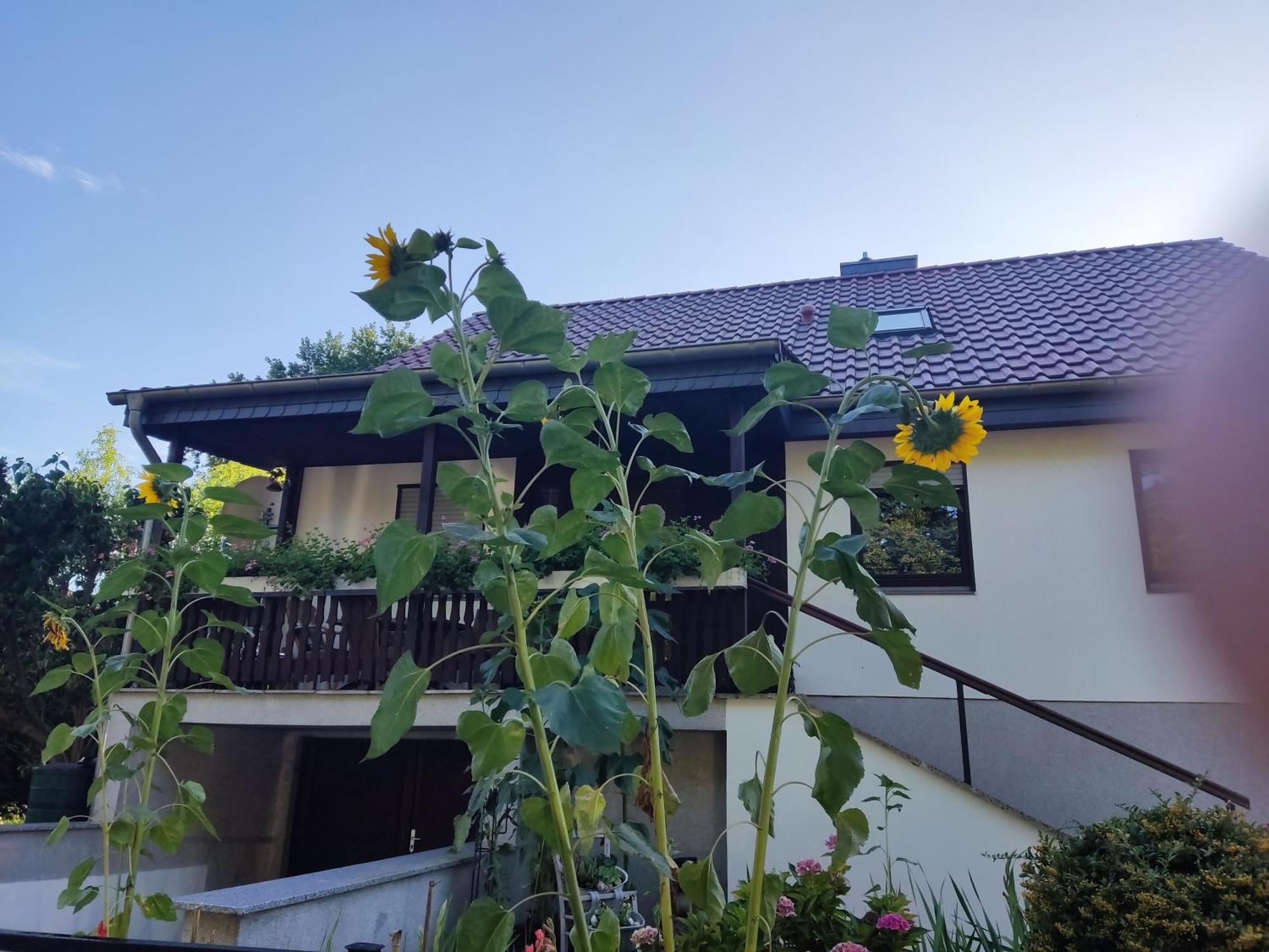 Waldhus Villa Ückeritz Kamer foto