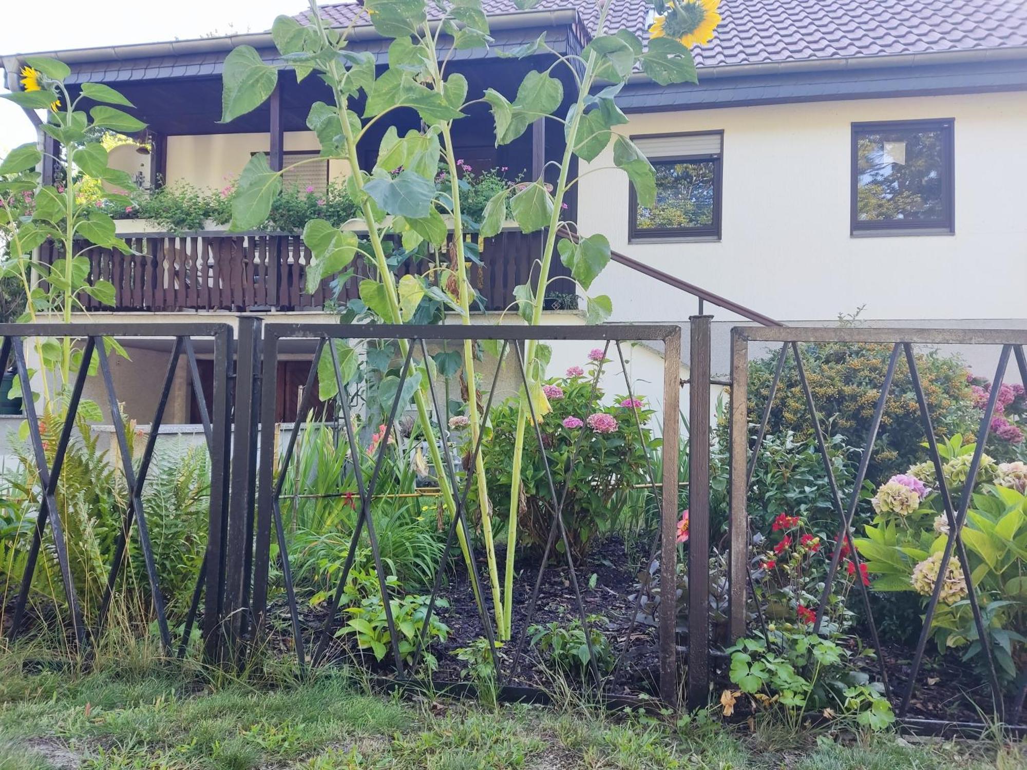Waldhus Villa Ückeritz Kamer foto